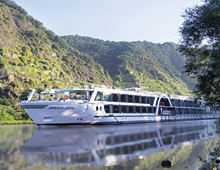 Crucero de los Tulipanes
