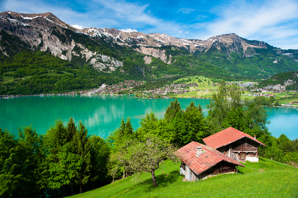 Oferta, Suiza, Alsacia y Selva Negra